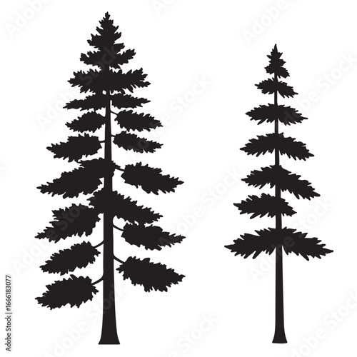 Two stylized evergreen trees, one taller than the other, depicted in simple black silhouettes against a white background