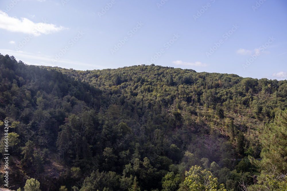Obraz premium mountain landscape with trees
