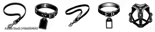 Dog collars and harness set vector illustration