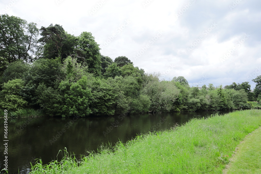 Fototapeta premium Scenic riverside with lush green grass, dense trees, and calm reflective water under cloudy summer sky, peaceful countryside landscape in Europe for travel, tourism, and nature photography