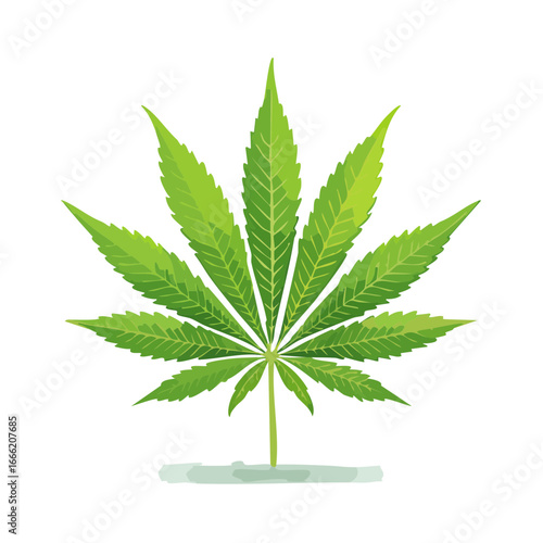 Green cannabis leaf with detailed veins illustration on black background for medical or recreational themes