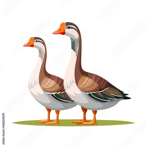 Pair of Animated Brown and White Geese Standing on Green Grass Patch against a Black Background