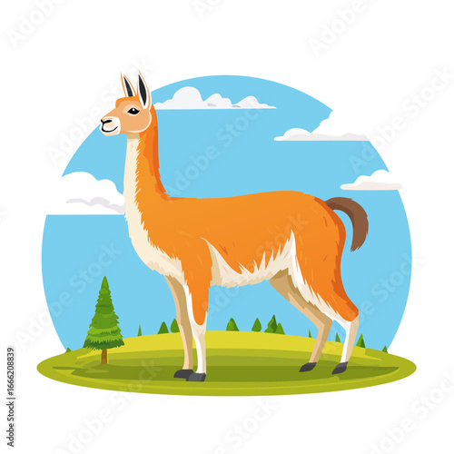 Llama Standing in Green Field with Blue Sky Illustration Cartoon