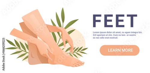 Feet care wellness female hands touching bare foot green leaves natural beauty self-care spa concept clean background website banner