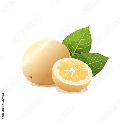 Fresh lemon illustration slice and whole with vibrant green leaves isolated on black background tropical citrus fruit clip art
