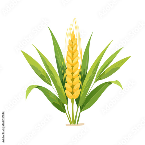 Illustration of wheat stalk with green leaves on dark background, agricultural symbol.