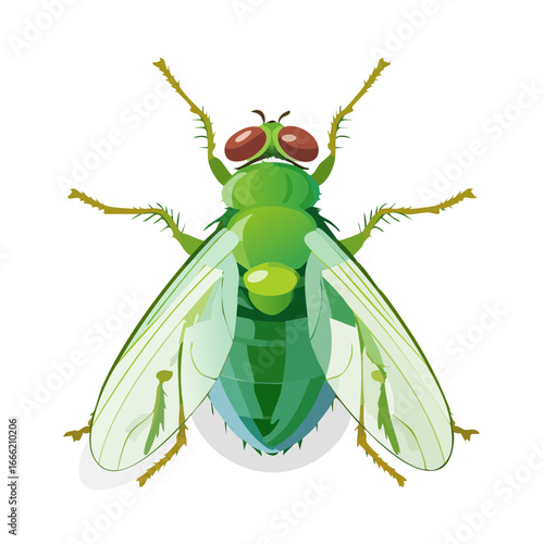 Vibrant green fly illustration with transparent wings on a black background insect design nature bug wildlife