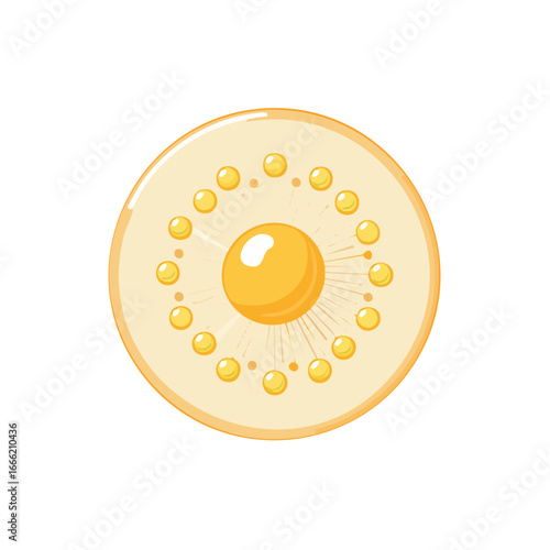 Cartoon illustration of sliced fruit with yellow pulp and seeds arranged in a circle.