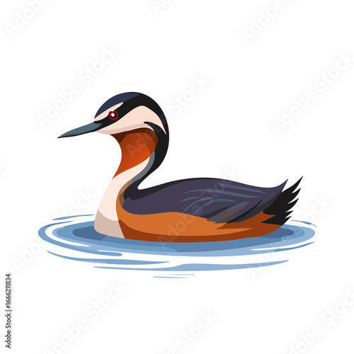 Elegant grebe illustration floating serenely on calm blue water vector design