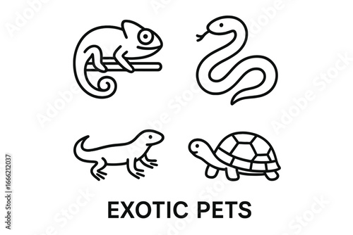 Collection of outline icons for popular exotic pets: chameleon, snake, lizard, turtle