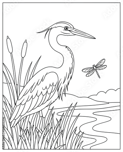 Bird coloring page illustration of a heron standing in tall reeds beside a river with a dragonfly flying nearby drawn in clean vector outline style for creative coloring