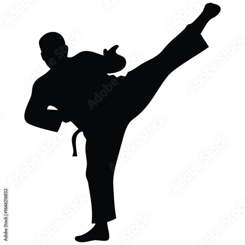 Martial artist kicking silhouette vector illustration.