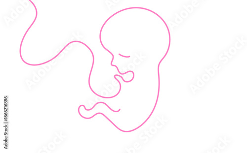grafica, disegno, feto, bambino,, stilizzato, linea, linea singola,, filo, gravidanza, maternità