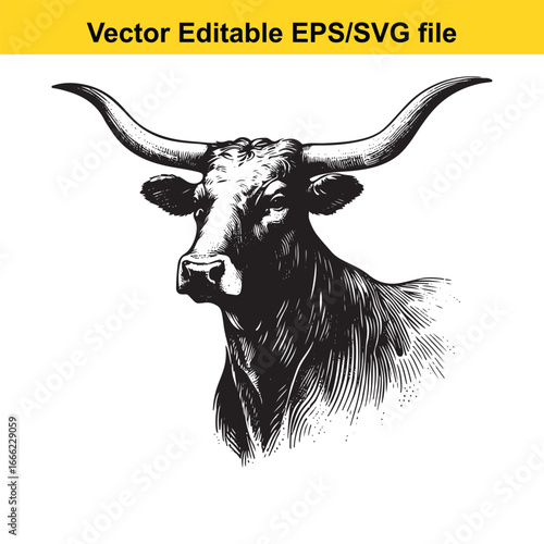 Longhorn bull head illustration isolated on white background