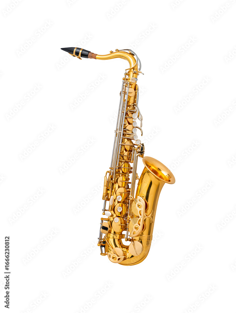 Naklejka premium A detailed saxophone showcasing its design and features 
