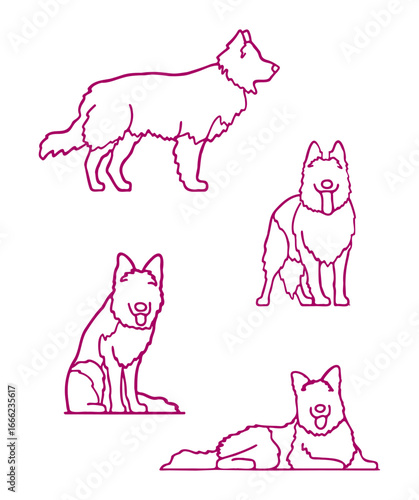 Dog standing, sitting, and lying poses