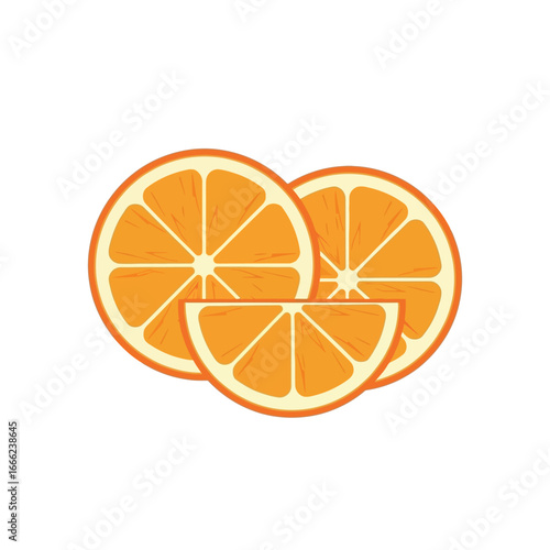 Vector art of fresh orange slices