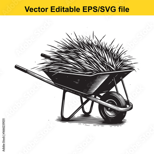 Wheelbarrow filled with grass isolated on white background