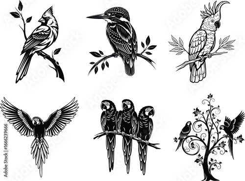 Chirping companions a collection of six artistic bird silhouettes in sketch style