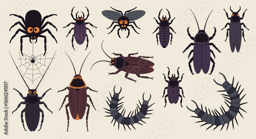 Flat lay illustration of various creepy crawlies including spiders, beetles, and centipedes, showcasing a dark color palette against a neutral beige background.