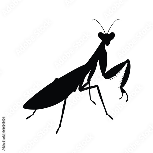 Dramatic silhouette of a praying mantis, isolated on a clean white backdrop, Black insect silhouette vector illustration