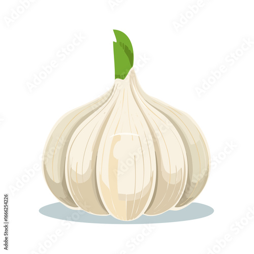 Garlic clove cartoon illustration vibrant veggie ingredient for food background clip art vector graphic