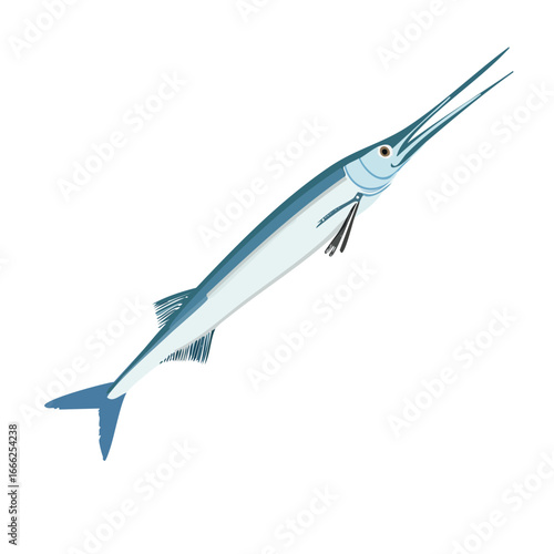Isolated blue needlefish illustration on black background saltwater fish clip art for marine life education or seafood design