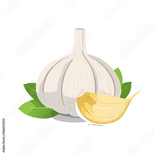 Garlic bulb and clove illustration with basil leaves on a black background simple flat style cooking ingredient fresh spice herb