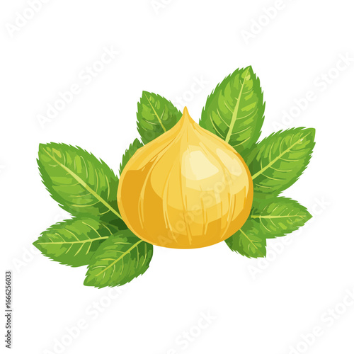 Yellow onion and fresh green mint leaves against black background food ingredient