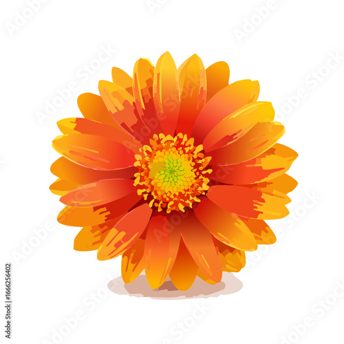 Vibrant Orange Gerbera Daisy Illustration Isolated on Black Background