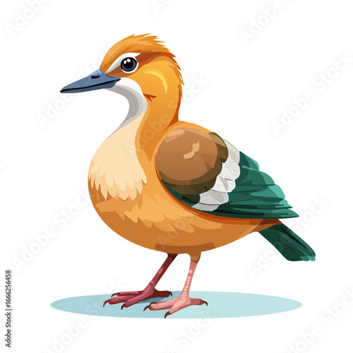 Cartoon illustration of a colorful Shelduck standing, featuring orange, green, brown, white, and blue plumage in a vector style.