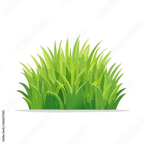 Illustration of lush green grass clump against black backdrop for decorative graphic design