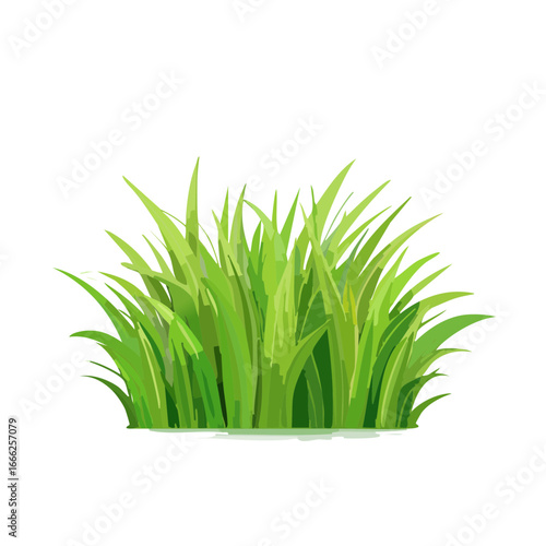 Green Grass Isolated on Black Background. Bush of Bright Fresh Lawn. Natural Ground Cover.