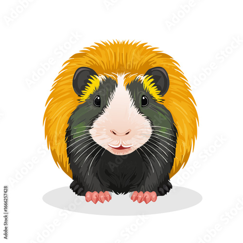 Cartoon guinea pig with golden hair, black and white fur, cute pet portrait