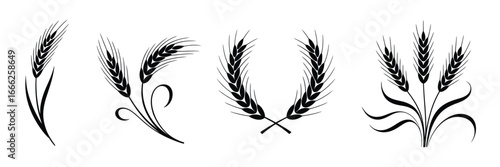 Black and white wheat stalks grain agriculture