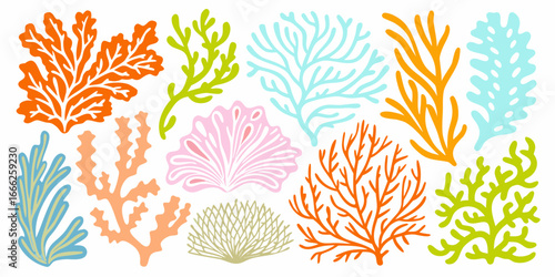 Colorful Coral Reef Elements Isolated on White Background Marine Plants Collection