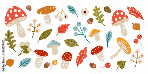 Autumnal Forest Floor Hand Drawn Mushrooms Berries and Leaves Illustration