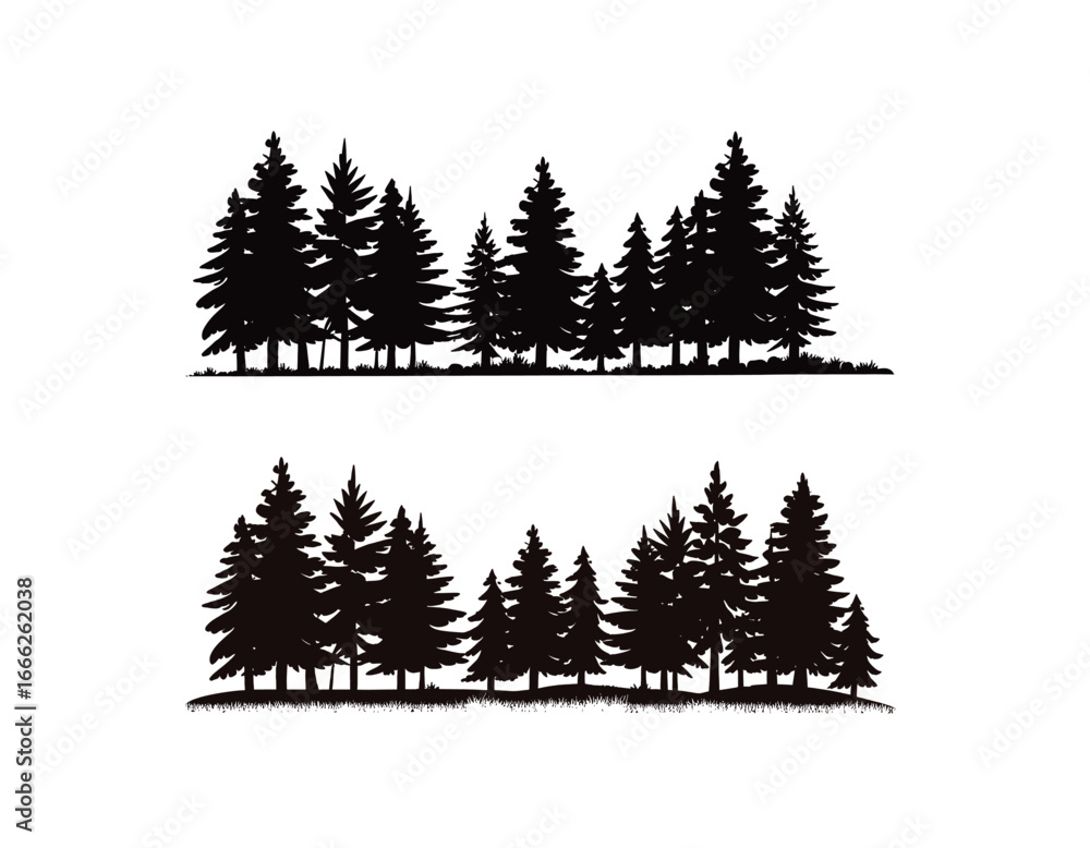 Fototapeta premium Black silhouette forest scenes with grass trees pine trees