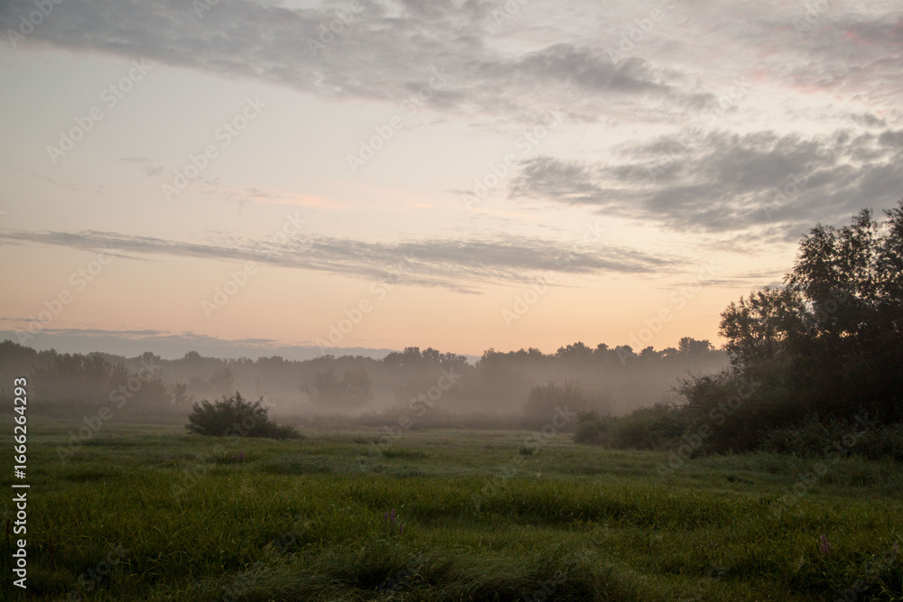 Morning fog in the meadow. Fog in the field. Romantic and mystical landscape Morning fog in the meadow. Fog in the field. Romantic and mystical landscape
