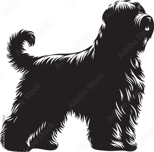 Briard Dog vector in black and white 