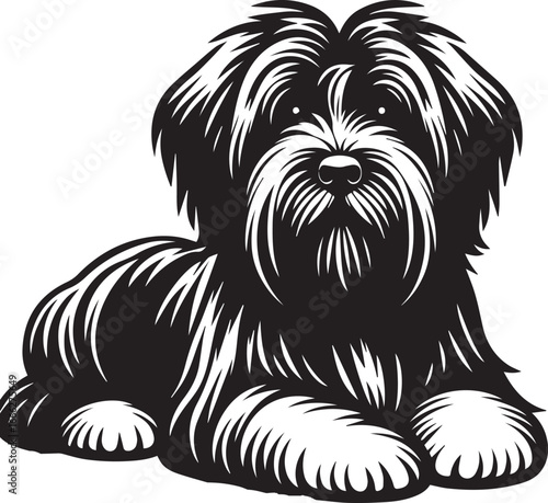 Briard Dog vector in black and white 