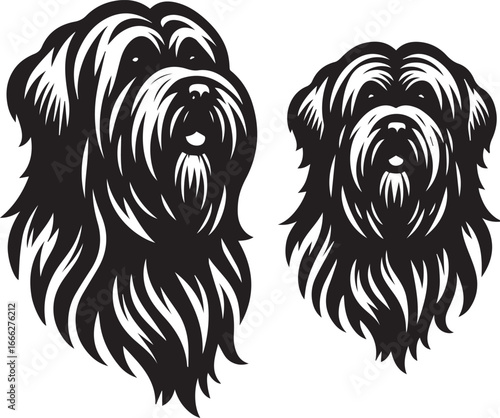 Briard Dog vector in black and white 