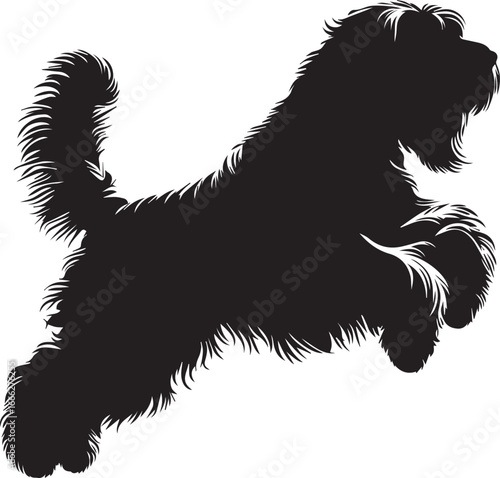 Briard Dog vector in black and white 