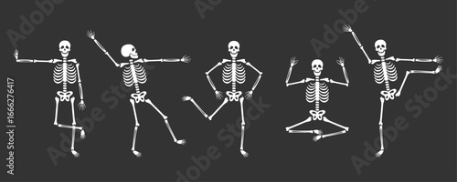Festive dance of cute skeletons. Halloween and Dia de los Muertos. Vector illustration. 4