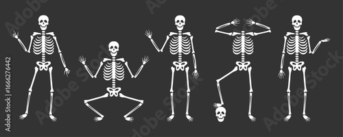 Festive dance of cute skeletons. Halloween and Dia de los Muertos. Vector illustration. 5