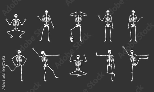 Festive skeleton dancing. Halloween and Dia de los Muertos. Vector illustration.