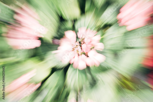 Foto A blurry image of a flower with green leaves