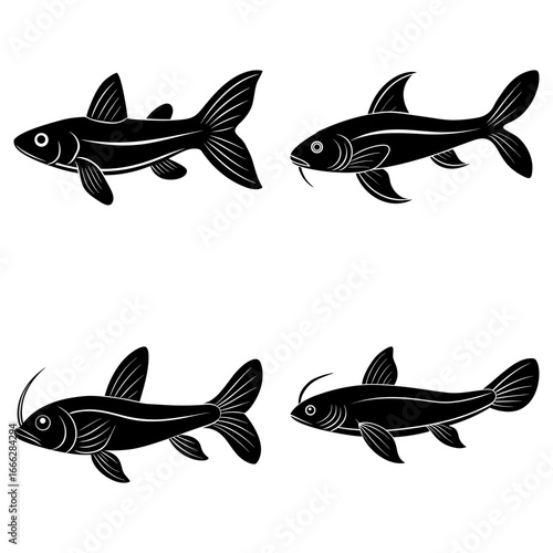 Illustration showing four black fish with distinct fins and barbels in a symmetrical arrangement