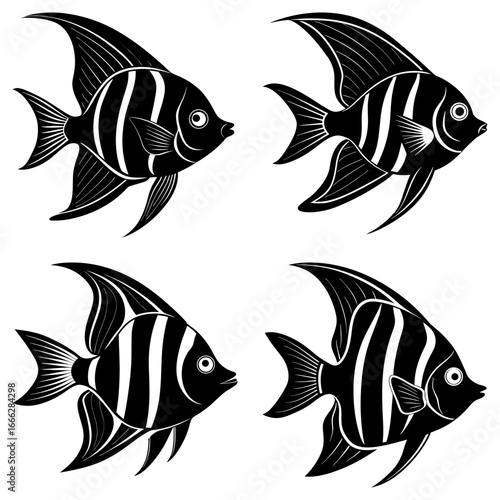 Illustration of four black and white striped angelfish in different orientations on a white background