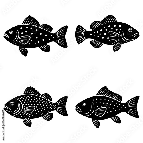 Illustration of four black and white fish with spots swimming in different directions on a white background
